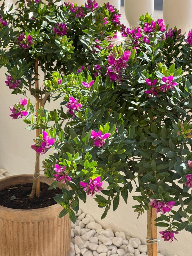 Fresh Apartment, 2 Bedroom, 2 Bathroom, 2 Lovely Poolareas Los Alcázares Esterno foto